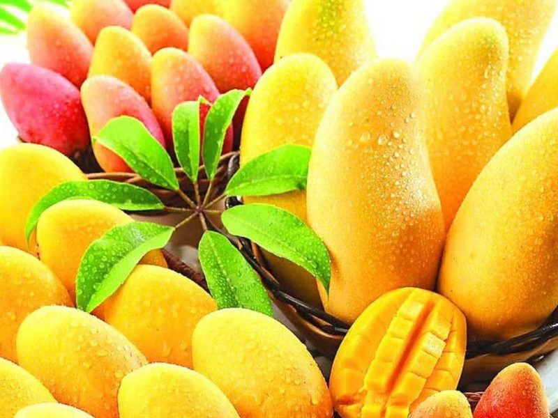 mango